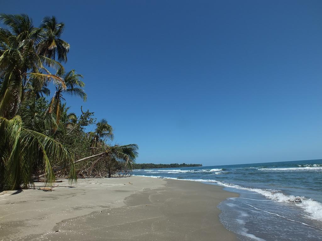 Cabinas Caribe Luna Кахуита Екстериор снимка
