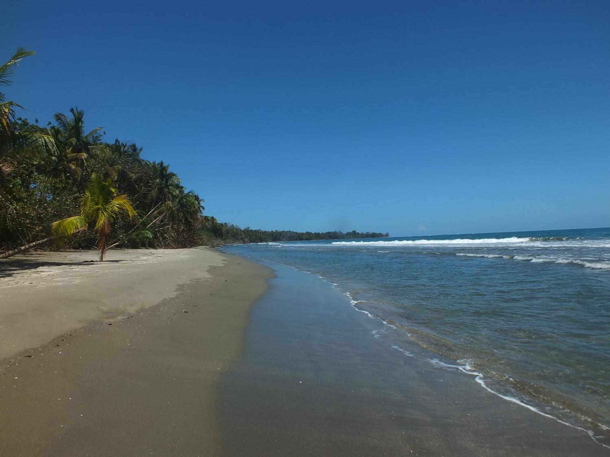 Cabinas Caribe Luna Кахуита Екстериор снимка