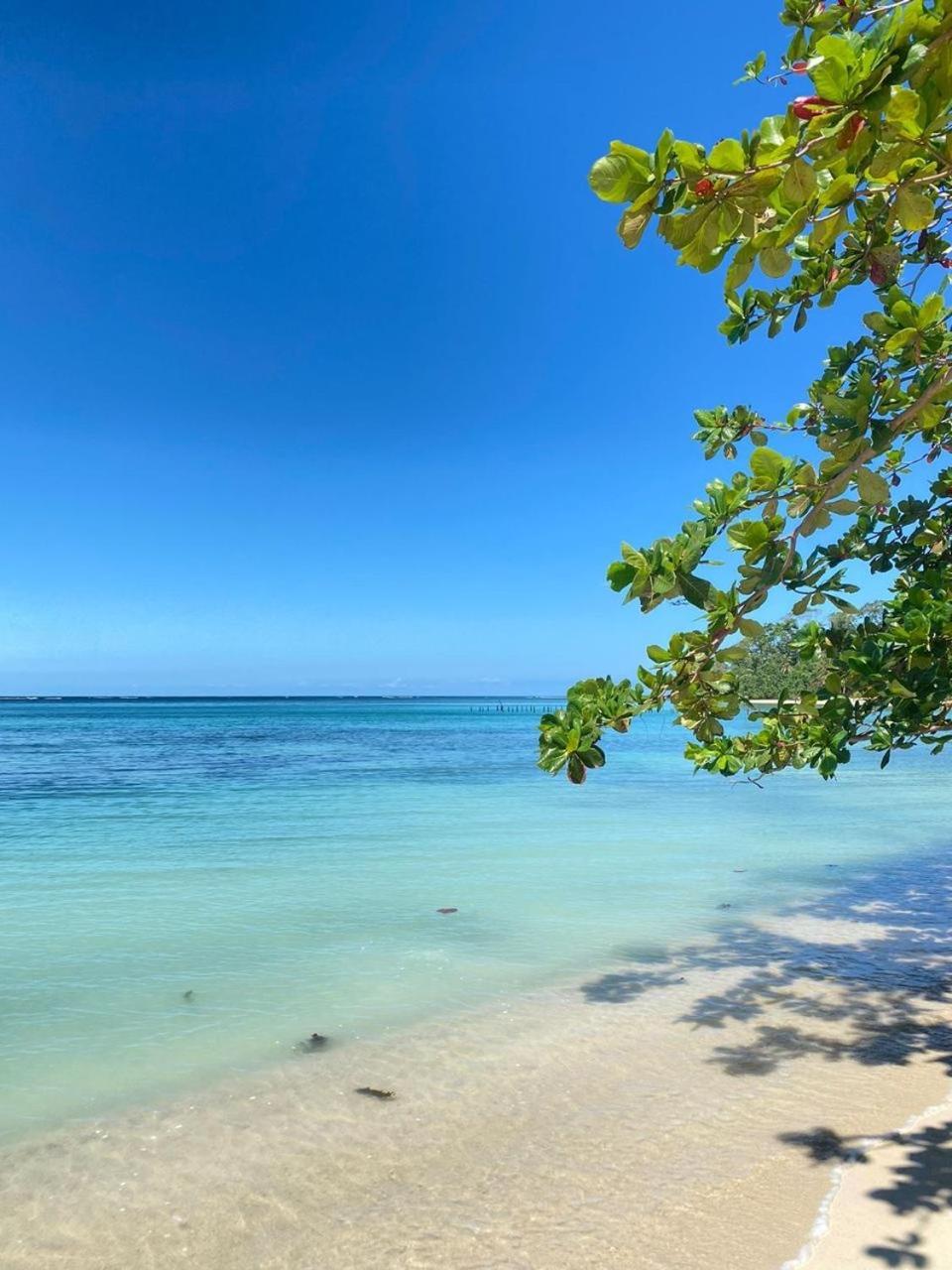 Cabinas Caribe Luna Кахуита Екстериор снимка