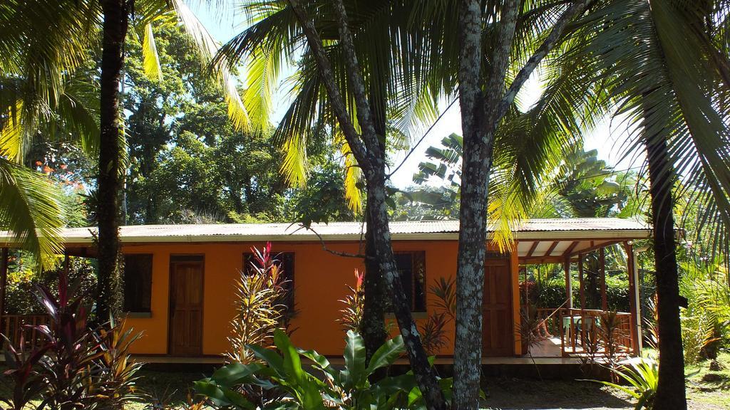 Cabinas Caribe Luna Кахуита Екстериор снимка