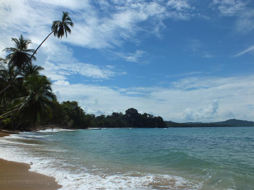 Cabinas Caribe Luna Кахуита Екстериор снимка