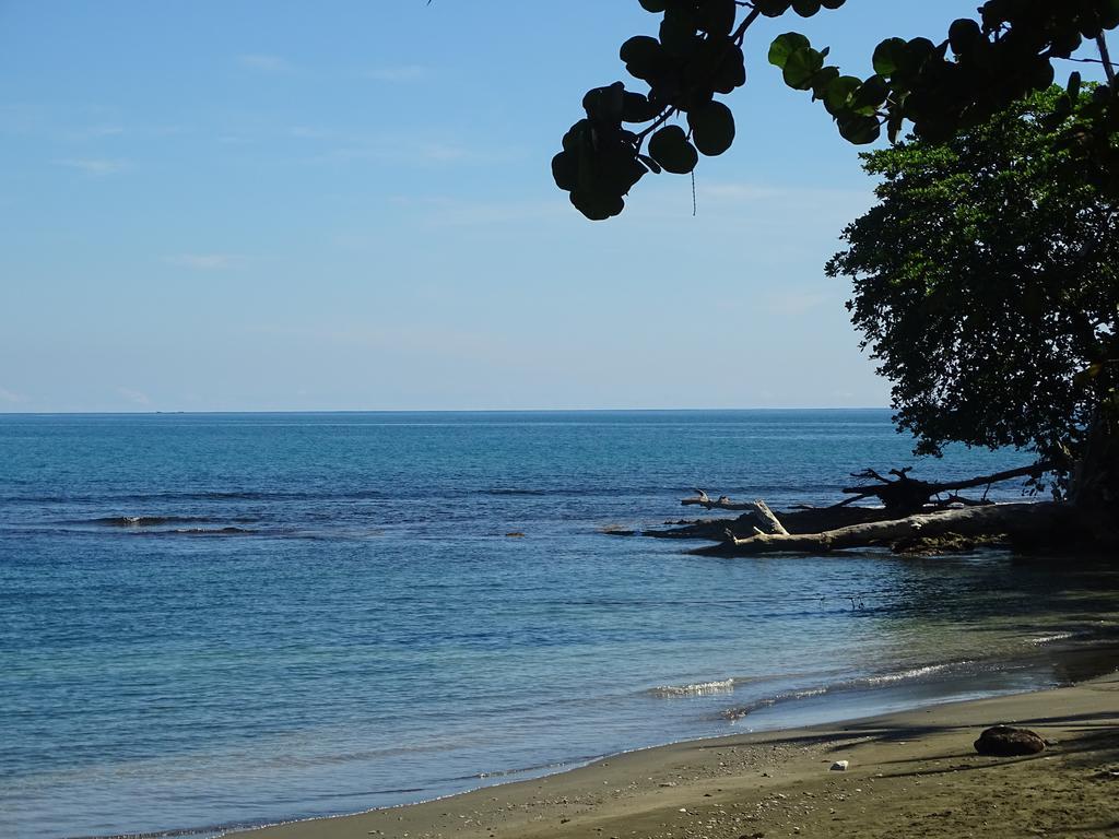 Cabinas Caribe Luna Кахуита Екстериор снимка