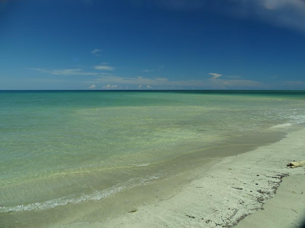 Cabinas Caribe Luna Кахуита Екстериор снимка