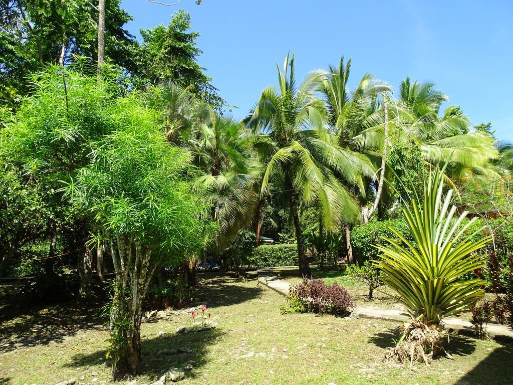 Cabinas Caribe Luna Кахуита Екстериор снимка