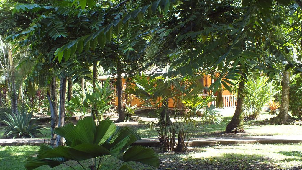 Cabinas Caribe Luna Кахуита Екстериор снимка