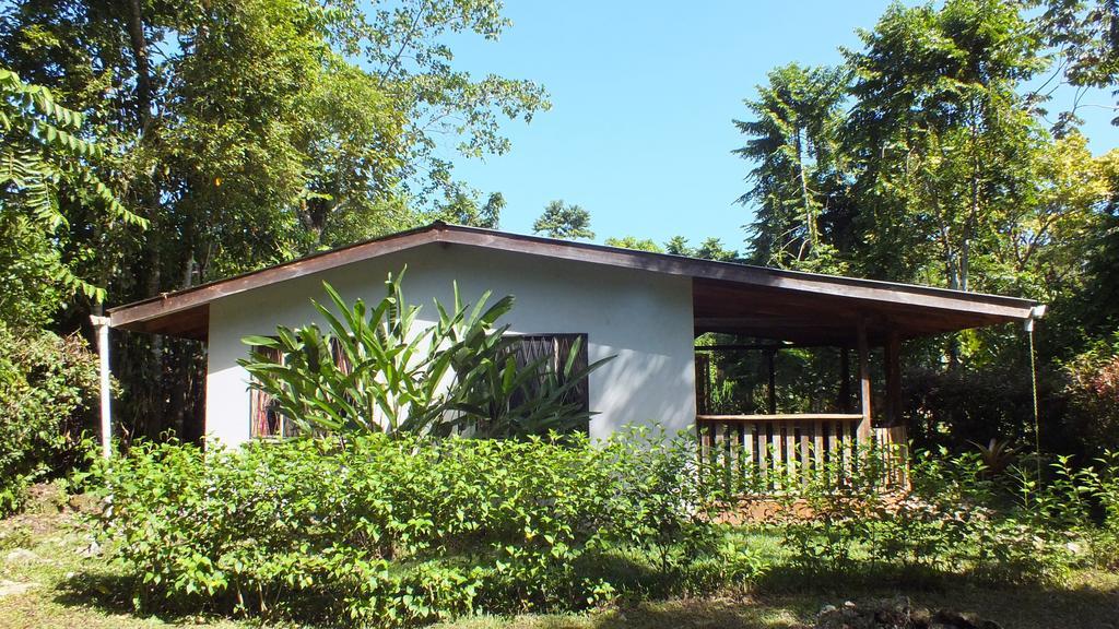 Cabinas Caribe Luna Кахуита Екстериор снимка